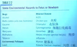 发展心理学视频教程 苏彦捷 63讲 北京大学