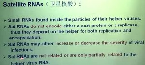分子病毒学视频教程 李毅 18讲 北京大学
