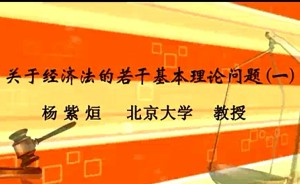 关于经济法的若干基本理论问题视频教程 杨紫烜 10讲 北京大学