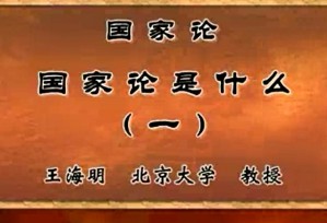国家论视频教程 王海明 110讲 北京大学