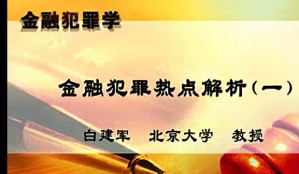 金融犯罪学视频教程 白建军 21讲 北京大学