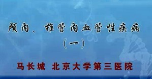 颅内、椎管内血管性疾病视频教程 马长城 4讲 北京大学