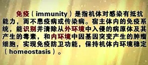 人体免疫与健康养生视频教程 王月丹 20讲 北京大学
