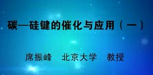 碳—硅键的催化与应用视频教程 席振峰 2讲 北京大学