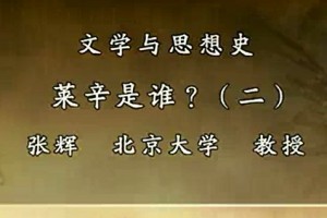 文学与思想史视频教程 张辉 49讲 北京大学