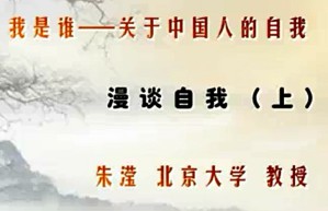 我是谁——关于中国人的自我视频教程 朱滢 11讲 北京大学