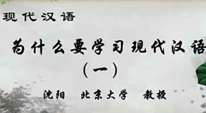 现代汉语视频教程 沈阳 87讲 北京大学