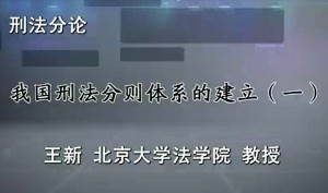 刑法分论视频教程 王新 84讲 北京大学
