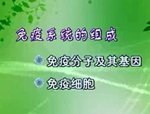 医学免疫学视频教程 尚红生 15讲 北京大学