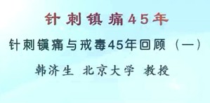 针刺镇痛45年视频教程 韩济生 4讲 北京大学