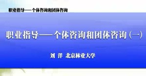 职业指导——个体咨询和团体咨询视频教程 刘洋 9讲 北京林业大学