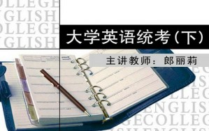 大学英语统考视频教程 郎丽莉 42课时 北京师范大学