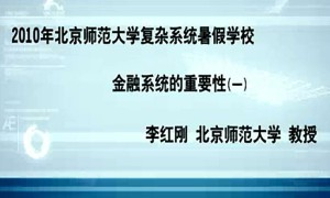 金融系统的重要性视频教程 李红刚 2讲 北京师范大学