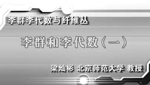 李群李代数与纤维丛视频教程 梁灿彬 136讲 北京师范大学