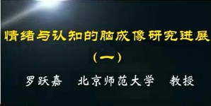 情绪与认知的脑成像研究进展视频教程 罗跃嘉 5讲 北京师范大学