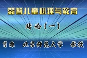 弱智儿童心理与教育视频教程 肖非 57讲 北京师范大学