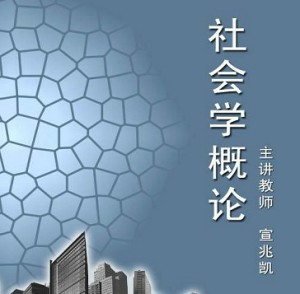 社会学概论视频教程 宣兆凯 43学时 北京师范大学