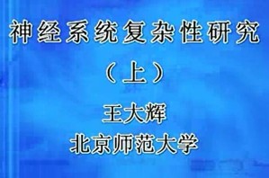 神经系统复杂性研究视频教程 王大辉 2讲 北京师范大学