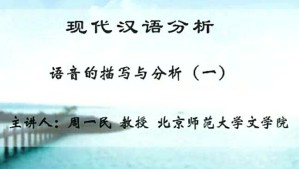 现代汉语分析视频教程 周一民 31讲 北京师范大学