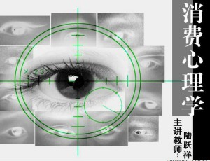 消费心理学视频教程 陆跃祥 48讲 北京师范大学