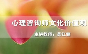心理咨询师文化价值观视频教程 吴红健 30学时 北京师范大学