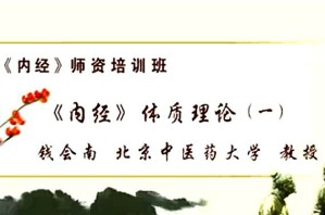 《内经》师资培训班视频教程 钱会南 4讲 北京中医药大学