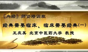 《内经》师资培训班视频教程 王庆其 14讲 北京中医药大学