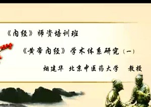 《内经》师资培训班视频教程 烟建华 12讲 北京中医药大学