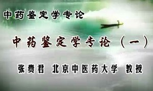 中药鉴定学专论视频教程 张贵君 28讲 北京中医药大学