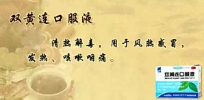 中医基础理论视频教程 郭霞珍 13讲 北京中医药大学