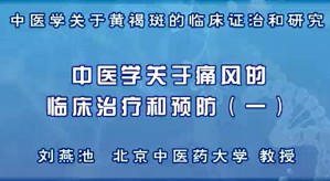 中医学关于痛风的临床治疗和预防视频教程 刘燕池 4讲 北京中医药大学