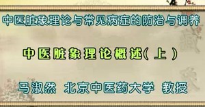 中医脏象理论与常见病症的防治与调养视频教程 马淑然 30讲 北京中医药大学