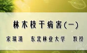 林木枝干病害视频教程 宋瑞清 7讲 东北林业大学