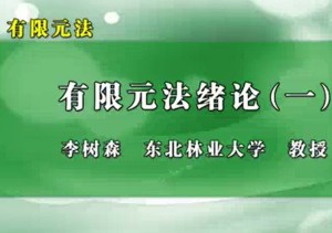 有限元法视频教程 李树森 21讲 东北林业大学