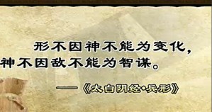 兵形势与行动管理视频教程 曹胜高 12讲 东北师范大学