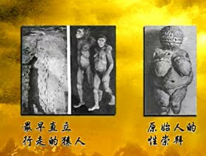 世界女性史概览视频教程 马艳辉 12讲 东北师范大学