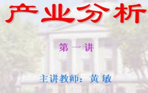金融产业分析视频教程 黄敏 30讲 东南大学