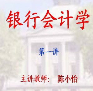 银行会计学视频教程 陈小怡 48讲 东南大学