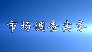市场调查实务视频教程 范伟达 38讲 复旦大学