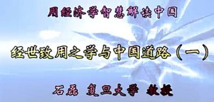 用经济学智慧解读中国视频教程 石磊 63讲 复旦大学