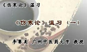 《伤寒论》温习视频教程 李赛美 23讲 广州中医药大学