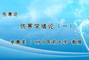伤寒论视频教程 万晓刚 132讲 广州中医药大学