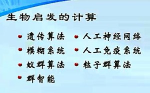 人工免疫系统视频教程 莫宏伟 19讲 哈尔滨工程大学