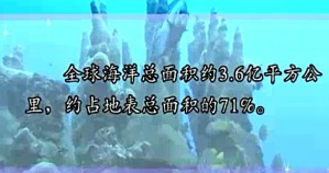 海洋科学导论视频教程 王义刚 15讲 河海大学