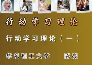 行动学习理论视频教程 陈亮 15讲 华东理工大学