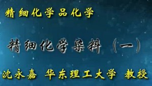 精细化学品化学视频教程 沈永嘉 17讲 华东理工大学