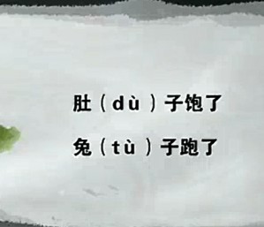 对外汉语教学系列视频教程 徐子亮 21讲 华东师范大学