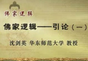 佛家逻辑视频教程 沈剑英 38讲 华东师范大学
