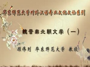 华东师范大学对外汉语专业文化文论系列视频教程 顾伟列 68讲 华东师范大学