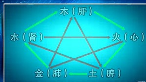 人体及动物生理学视频教程 袁崇刚 100讲 华东师范大学